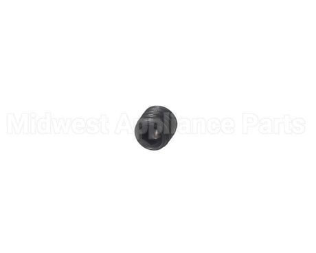 00-938005-00008 Berkel Screw