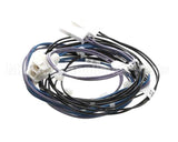 00-941873 Hobart Harness,Temperature Probes