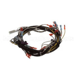 00-941880 Hobart Harness, 120V