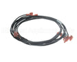 00-941882 Hobart Harness, Pump