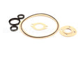 00-975913 Somat C-Seal Gasket Kit (Master)