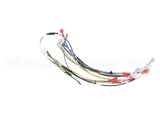 00-976534-00024 Vulcan Hart Harness Main, Vccg Ir 24 Inch