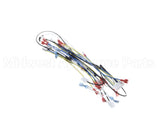 00-976534-00036 Vulcan Hart Harness Main, Vccg Ir 36 Inch
