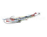 00-976534-00036 Vulcan Hart Harness Main, Vccg Ir 36 Inch
