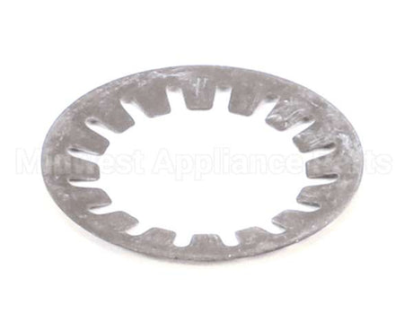 000000000110000095 Bizerba Cup Spring