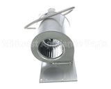 00000084 International Environmental Blowerassembly 115V
