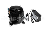 000005590 International Cold Storag Compressor Caj2464Z-A 11560Hz