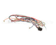 000007752 Manitowoc Ice Harness Control Box 230V/60Hz