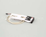 000008660 Manitowoc Ice Ice Thickness Probe Asm