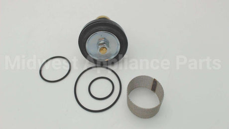 0006960 Watts N55B-Rk 1/2-1 Repair Kit
