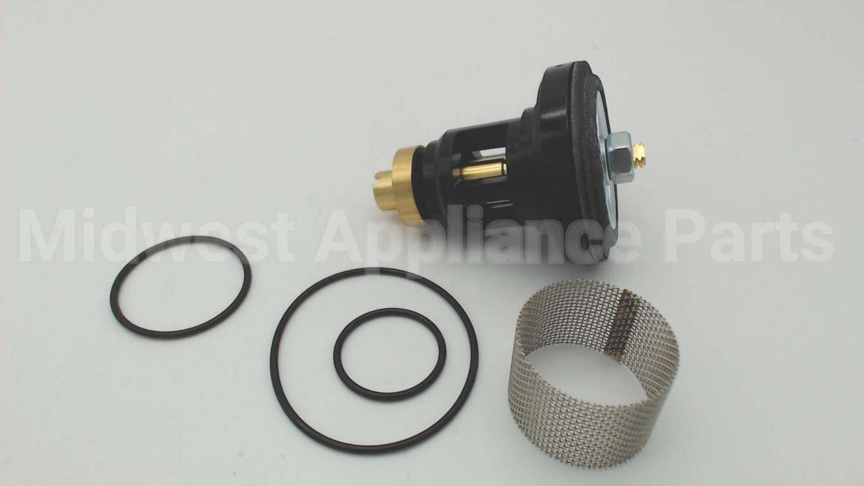 0006960 Watts N55B-Rk 1/2-1 Repair Kit