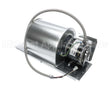 00088769 International Environmental Blower Assembly