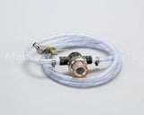 0010584 Antunes Inlet Hose Assembly-Std.