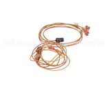 00203-0102 Antunes Wire-Assembly, Ut