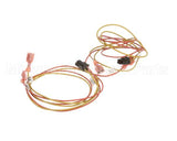 00203-0102 Antunes Wire-Assembly, Ut