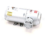 00206073 Multiplex Air Pump/Motor 220/50
