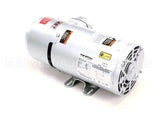 00206073 Multiplex Air Pump/Motor 220/50