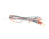 00213831 Multiplex Harness Water And Soda Sw