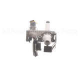 002234F Raypak Natural Gas Pilot Assembly