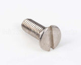 00300021 Nuova Simonelli Shower Screw (M6X16 Tstc)