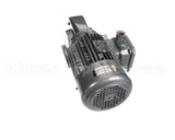 005617345 Jbt Gear Motor 230V/460V 50Hz/60Hz