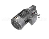 005617345 Jbt Gear Motor 230V/460V 50Hz/60Hz