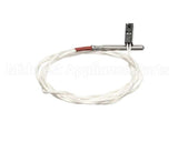 006609 Electrolux Professional Probe