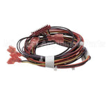 00975243 Follett Wiring, Water Sensor Assembly, Saturn