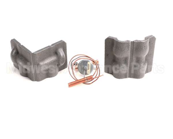 00977579 Follett Valve, Expansion Thermal