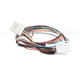 01-404175-00716 Berkel Harness, Wiring J9 (X13/Hs7/Hs