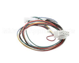 01-404175-00716 Berkel Harness, Wiring J9 (X13/Hs7/Hs