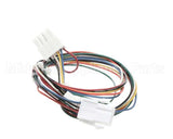 01-404175-00716 Berkel Harness, Wiring J9 (X13/Hs7/Hs