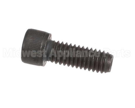 01298.0000 Globe Screw