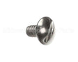 01308.0000 Bunn Screw, Trh Sltd Sst 6-32X.25
