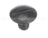 01311.0003 Bunn Screw,Trh Sltd Blk 8-32 X .25