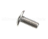 01317.0003 Bunn Screw, Trhsltd Sst 8-32X.38Lkg