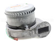 013195F Raypak Combustion Air Blower Assembly