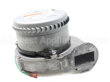 013195F Raypak Combustion Air Blower Assembly