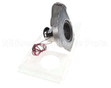 0131G00093S Amana-Goodman 230V Inducer Blower Assy