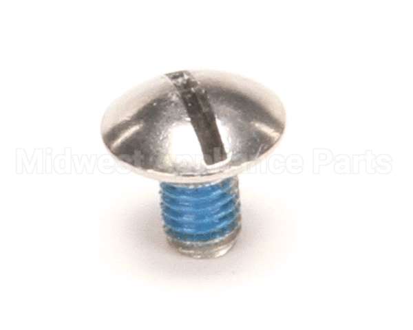 01326.0002 Bunn Screw, Trh Lkg Patch 10-32X.31