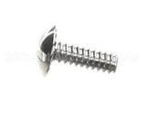 01347.0000 Bunn Screw, Trh Serr Sst 6-32X.38