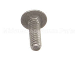 01380.0000 Bunn Screw, Trh Sltd Sst 6-32X.50