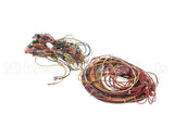 014680F Raypak Wire Harness