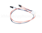 016500F Raypak J-Box Wire Harness In/Out Sen