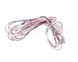 016502F Raypak Wire Harness In/Out Sen 302C