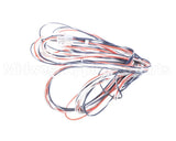 016502F Raypak Wire Harness In/Out Sen 302C