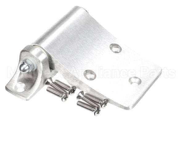 016589 Bally Hinge, Delivery Door, Lh D61/4