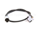 017195-45 T&S Brass Chekpoint Sensor Cable W/ Angled Flat Le