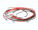 1064899 Frymaster Harness,Control W/ Cnstnt Plt