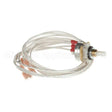 02.01.117.00 Compatible Hatco Pot W/36" Leads Metal Case